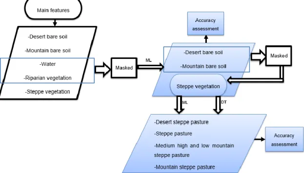 Figure 4.8 - Overview on the methods used to classify the main classes and the steppe vegetation (*ML- (*ML-maximum likelihood classifier; DT- decision tree classifier) 