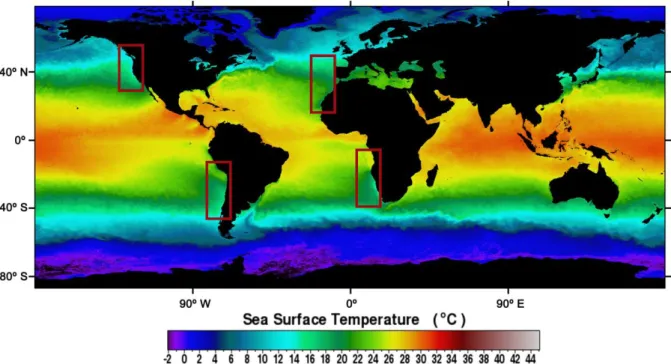 Figure 1.1: SNPP VIIRS mean sea surface temperature (SST) for 2015. The rectangles signal the location of the  four Eastern Boundary Upwelling Systems (EBUS).