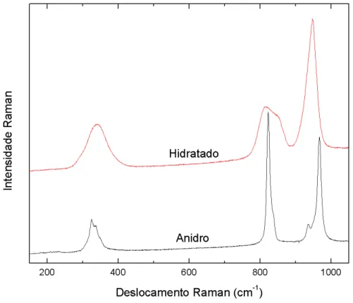 Figura 3.4: Espectros Raman do molibdato de ´ıtrio nas fases anidra (Y 2 (MoO 4 ) 3 ) e hidratada (Y 2 (MoO 4 ) 3 ·3H 2 O) medidos em condic¸˜oes de temperatura e press˜ao ambiente.