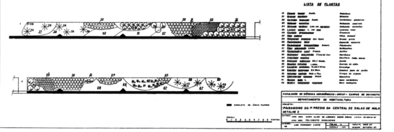 Figura  2  - Detalhe  1  - Projeto  de  Canteiros de Plantas florfferas e folhagens junto ao Primeiro Predio da 