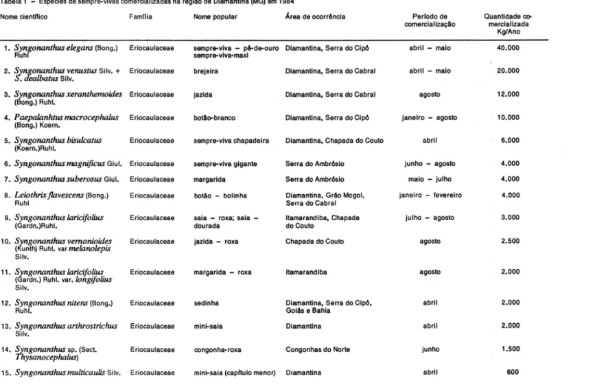Tabela 1  - Esp6cies de sempre-vivas comerclalizadas na  regUlo  de  Dlamanlina (MG)  em  1984  Z 