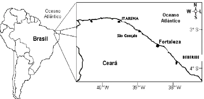 Figura 4. Localização dos municípios de Itarema, Beberibe e Fortaleza. 