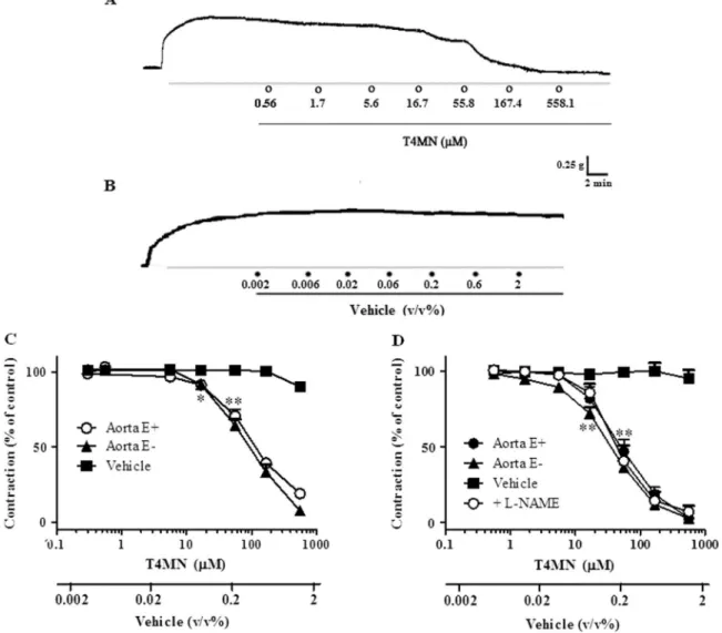 Fig. 2. Typical trace recordings of the e ﬀ ect of trans-4-methoxy-β-nitrostryrene (T4MN, 0.56–558.1 μM) (A) and its vehicle (B) on sustained contractions induced by 60 mM KCl in rat isolated aortic preparations