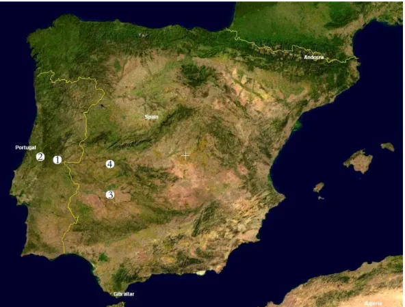Figure 1 – Location map of the sites 