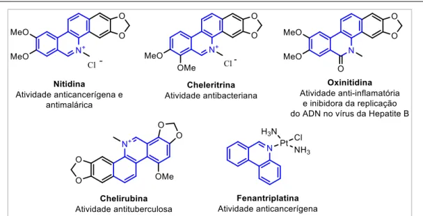 Figura 3: Alguns derivados naturais (Nitidina, Cheleritrina, Oxinitidina e Chelirubina) e sintéticos  (Fenantriplatina) da fenantridina, biologicamente ativos