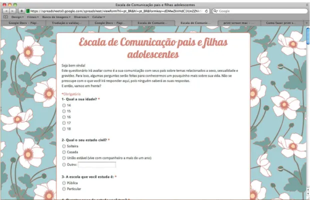 Figura 1 - Site na web, gerado em Google Docs, preenchido pelas adolescentes. Fortaleza,  CE, Brasil, 2010 