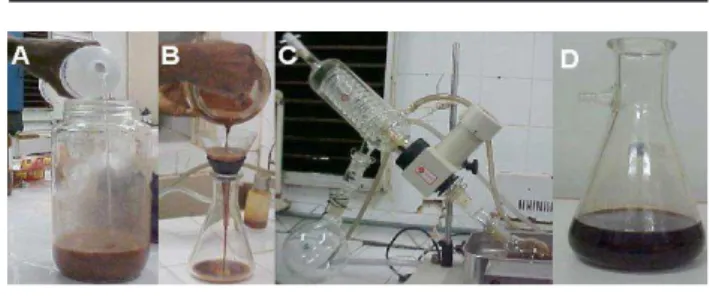 FIGURA 1 –  Processo de obtenção do extrato da Passiflora 