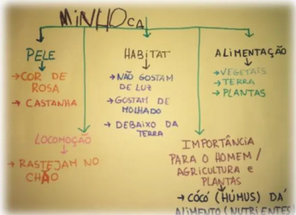 Figura 133- Mapa conceptual sobre a minhoca