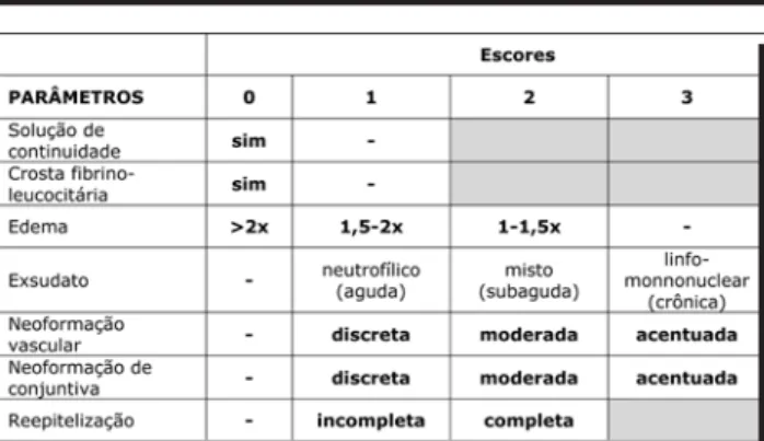 FIGURA 1 - Escores usados na avaliação morfológica do