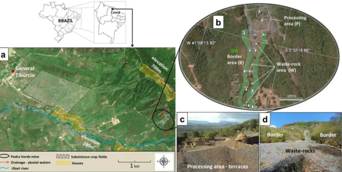 Figure  2.1.  (a)  Location  of  the  Pedra  Verde  mine,  (b)  sites  where  soils  and  rock  samples  were  collected,  (c)  waste  rock  in  the  ore  processing  area  and  (d)  waste  rock  spread over a slope and borders