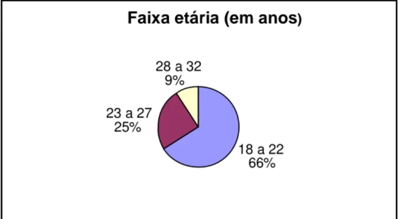 Figura 1 – Distribuição dos atendentes por faixa etária.