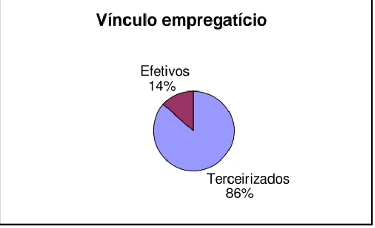 Figura 4 – Distribuição dos atendentes quanto ao vínculo empregatício.