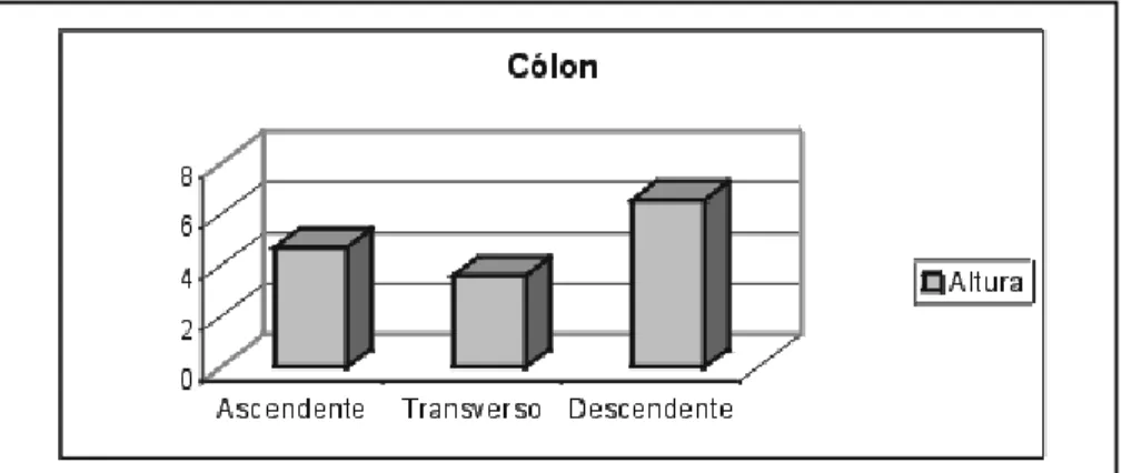 TABELA 6 - Análise de variância para as variáveis em estudo segundo a resposta de segmento do cólon