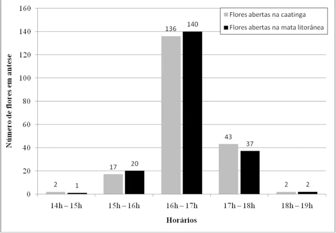 Figura 2.1. Quantidade e percentual de abertura das flores de nim (Azadiractha indica) na  caatinga e na mata litorânea no Estado do Ceará em função dos horários do dia (n = 200)