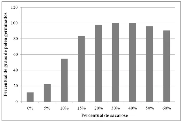 Figura  2.7:  Percentual  de  germinação  in  vitro  dos  grãos  de  pólen  de  nim  (Azadirachta  indica) em meios de cultura com diferentes concentrações de sacarose