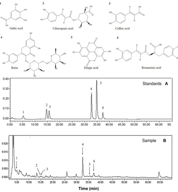 Figure  1.  HPLC  chromatogram  of  a  standard  mixture  (A)  and  aqueous  extract  of  the  fruit  of  M