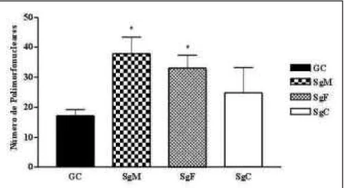 FIGURA  4  - Número de polimorfonucleares no pulmão dos ratos Wistar em estudos conforme o grupo.