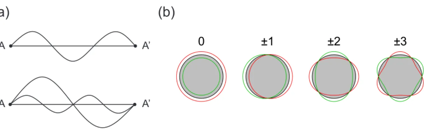 Figura 8: Confinamento quˆantico na dire¸c˜ao circunferencial dos SWNTs. (a) Comprimentos de onda imposs´ıveis (superior) e poss´ıveis (inferior) de ondas estacion´arias