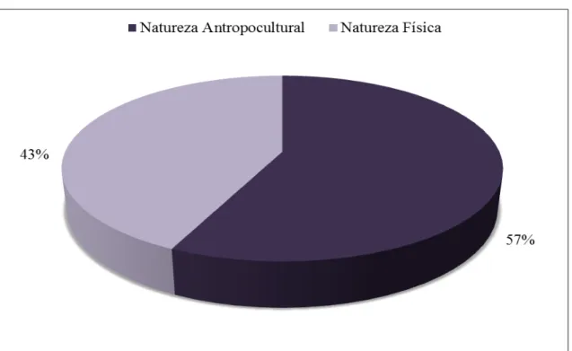Gráfico 1 – Distribuição dos topônimos nas categorias de natureza física e antropocultural
