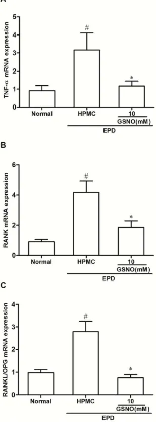 Fig 9. Effect of HPMC/GSNO on tumor necrosis factor alpha (TNF-α; A), RANK (B) and on the ratio RANKL/OPG (C) mRNA levels in experimental periodontitis in rats