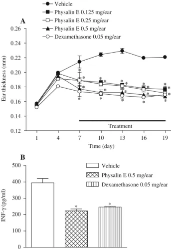 Fig. 4. Effect of Physalin E on TNF a immunoreactivity (upper panel) and NF- k B immunoreactivity (lower panel) in mice on TPA-induced acute dermatitis