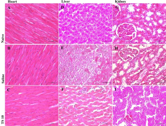 Fig. 8. Eﬀect of Tocoyena sellowiana (Cham. &amp; Schltdl.) K.Schum (Ts) on corporal mass variation (g)