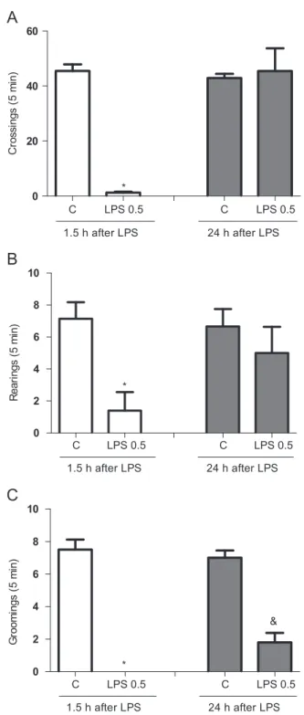 Fig. 1. Number of crossings (A), rearings (B) and groomings (C) 1.5 and 24 h after lipopolysaccharide (LPS) 0.5 mg/kg, i.p
