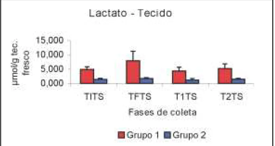 FIGURA 4 – Concentração de lactato no tecido muscular.