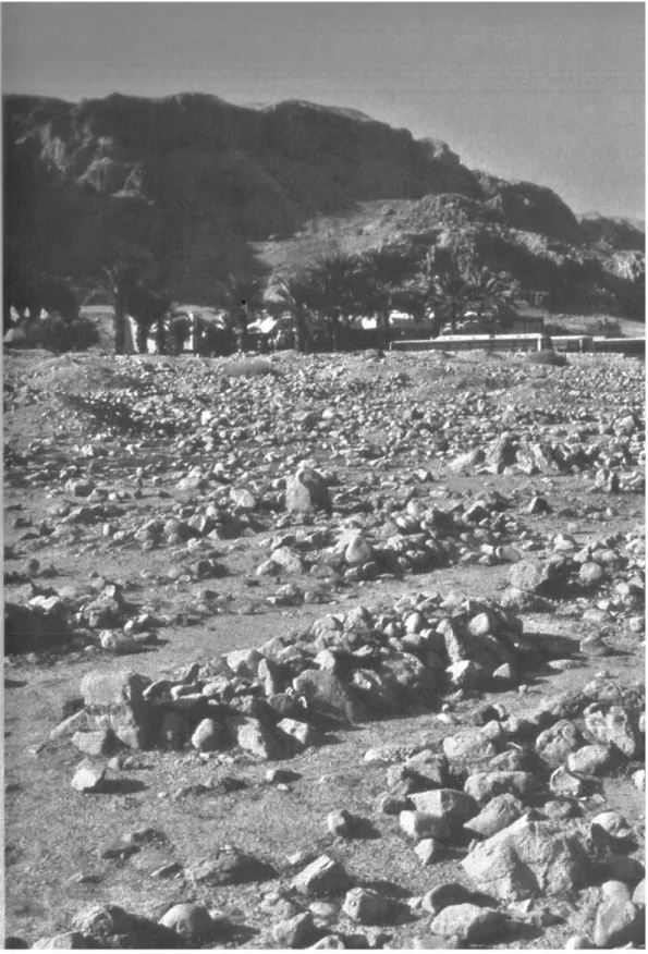 Figura 7 – Vista do cemitério em Qumran 123