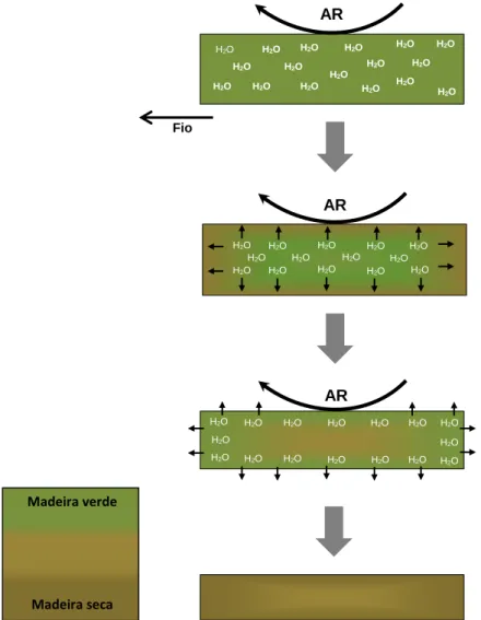 Figura 9  – Movimento da água na madeira durante o processo de secagem. Numa primeira fase de secagem o ar seco e quente  aquece a superfície da peça de madeira promovendo ao aparecimento de um gradiente entre a superfície e o interior da madeira