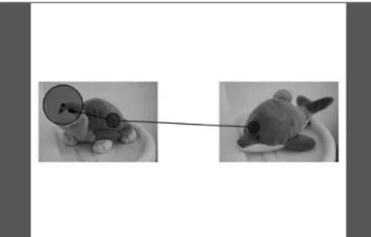 Figure 3. Image of the scan-path obtained in one of the trials. 