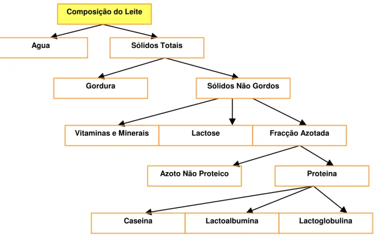 Figura 11 – Esquema representativo dos diversos constituintes do leite 