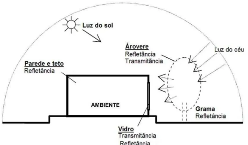 Figura 1.20  –  Intercepção da radiação solar através da copa arbórea 