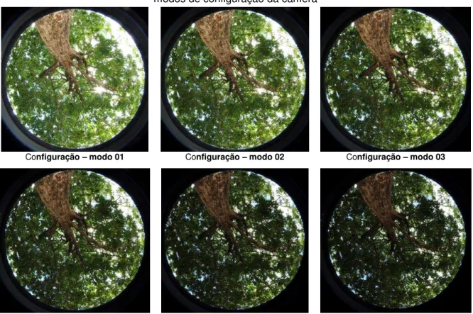 Figura 2.10  –  Conjunto de fotografias hemisféricas da Pitombeira na orientação leste, com diferentes  modos de configuração da câmera 