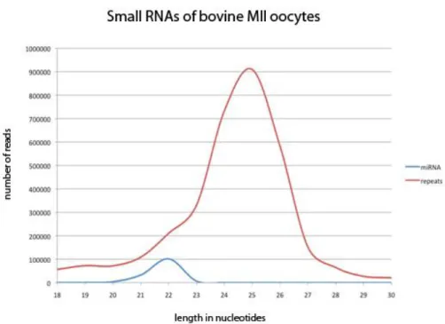 Figure 1.6.2 – Small RNA profile of MII stage bovine oocytes. The blue line indicates  reads  corresponding  to  annotated  miRNAs