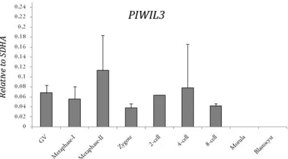 Figure  3.3  –  Relative  mRNA  expression  levels  of  PIWIL3  during  oocyte  maturation  and  early  embryo  development