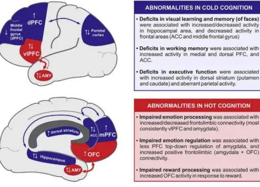 Fig. 2. Summary of abnormalities in ‘cold’ and ‘hot’ cognition in unaffected relatives of bipolar patients.