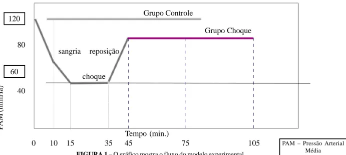 FIGURA 1 – O gráfico mostra o fluxo do modelo experimental120608040PAM (mmHa)choquesangriareposiçãoGrupo Controle Grupo ChoqueTempo (min.)