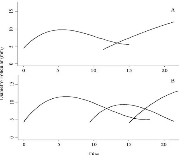 Figura 2.2. Exemplo do padrão de crescimento do folículo dominante (FD) nos animais com duas (A)  e três ondas (B) foliculares na raça Curraleiro Pé-Duro