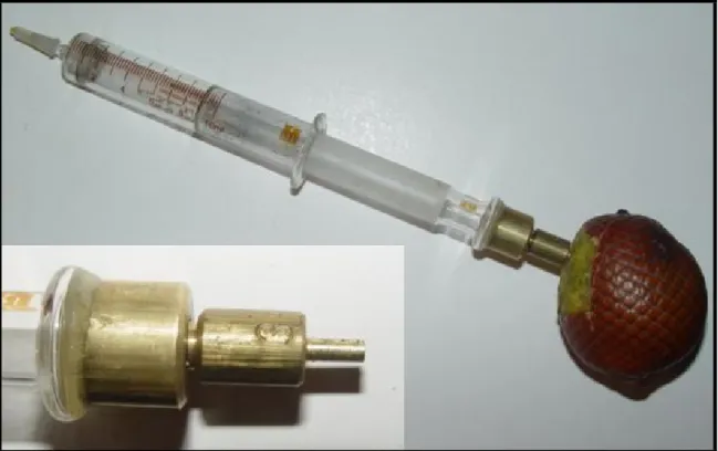 Figura  4  –  Penetrômetro  a  gás  utilizado  no  experimento  com  frutos  de  buriti  (Mauritia  vinifera)  e  detalhe  da  ponta  de  prova  escolhida  para  a  realização  das  medições