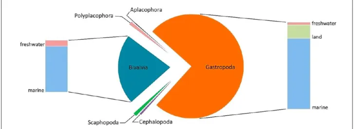 Figure 4. Representability of the Mollusca Collection at the Museu Nacional by class and environment.
