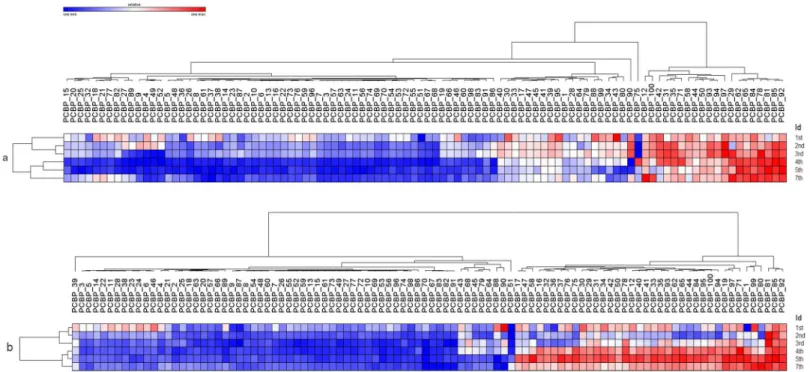 Fig 4. Heatmaps from relative expression of miRNAs, using as a metric the euclidean distance calculated between each PC bag and storage periods for hierarchical cluster construction