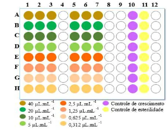 Figura  1  -  Esquema  da  microdiluição  seriada  realizada  em  microplaca  de  96  poços  para  determinação da Concentração Inibitória Mínima (CIM) do óleo essencial de  Origanum vulgare  L