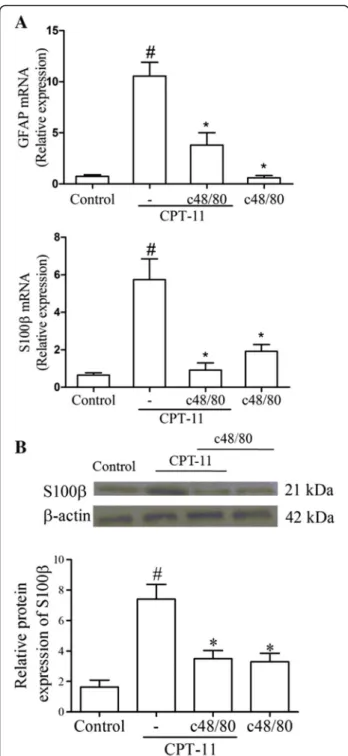 Fig. 6 Mast cell pre-degranulation downregulates CPT-11-induced GFAP and S100β RNAm expression and S100β protein expression in duodenum
