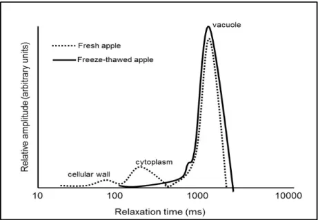 Figure 1.4 shows the differences in water proton transverse relaxation time profile for  fresh  and  freezing/thawing  apple  tissues