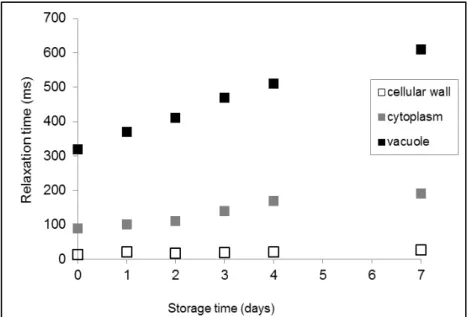 Figure 1.5 Banana proton transverse relaxation time, during seven days of storage  (Raffo et  al., 2005)