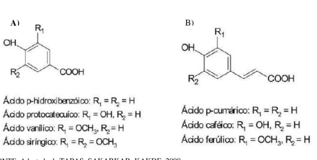 Figura 4 - Estrutura química dos ácidos fenólicos: hidroxibenzoicos (A) e hidroxicinâmicos  (B) 