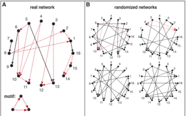 Figure 2.7: A real network with an emerging motif (A) and an ensemble of random networks (B)