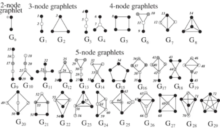 Figure 2.8: Automorphims orbits for all possible graphlets from sizes 3 to 5 (taken from [Prˇ z07]).