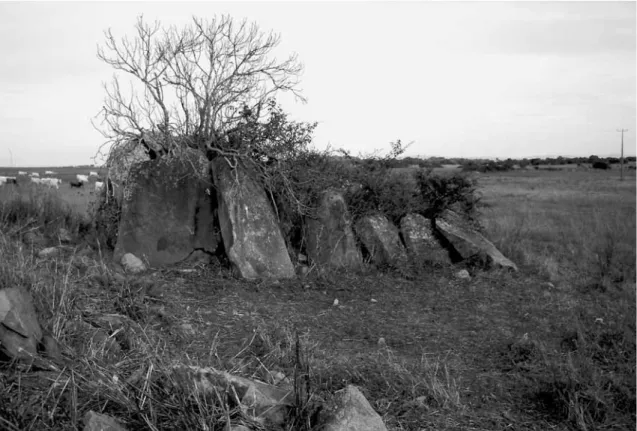 Fig. 6 Anta 1 da Loba: vista sudoeste. Visita realizada a 12 de Dezembro de 2004 (foto MA).